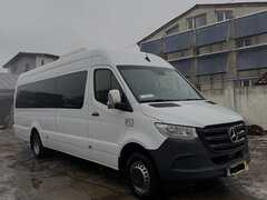 Sofer microbuz cat. D din zona Saceni, Rosiorii de Vede, Ciolanesti, jud.TR